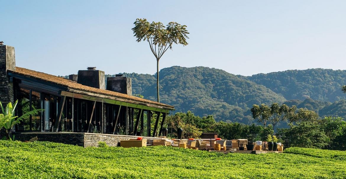 Nyungwe Nziza Eco lodge